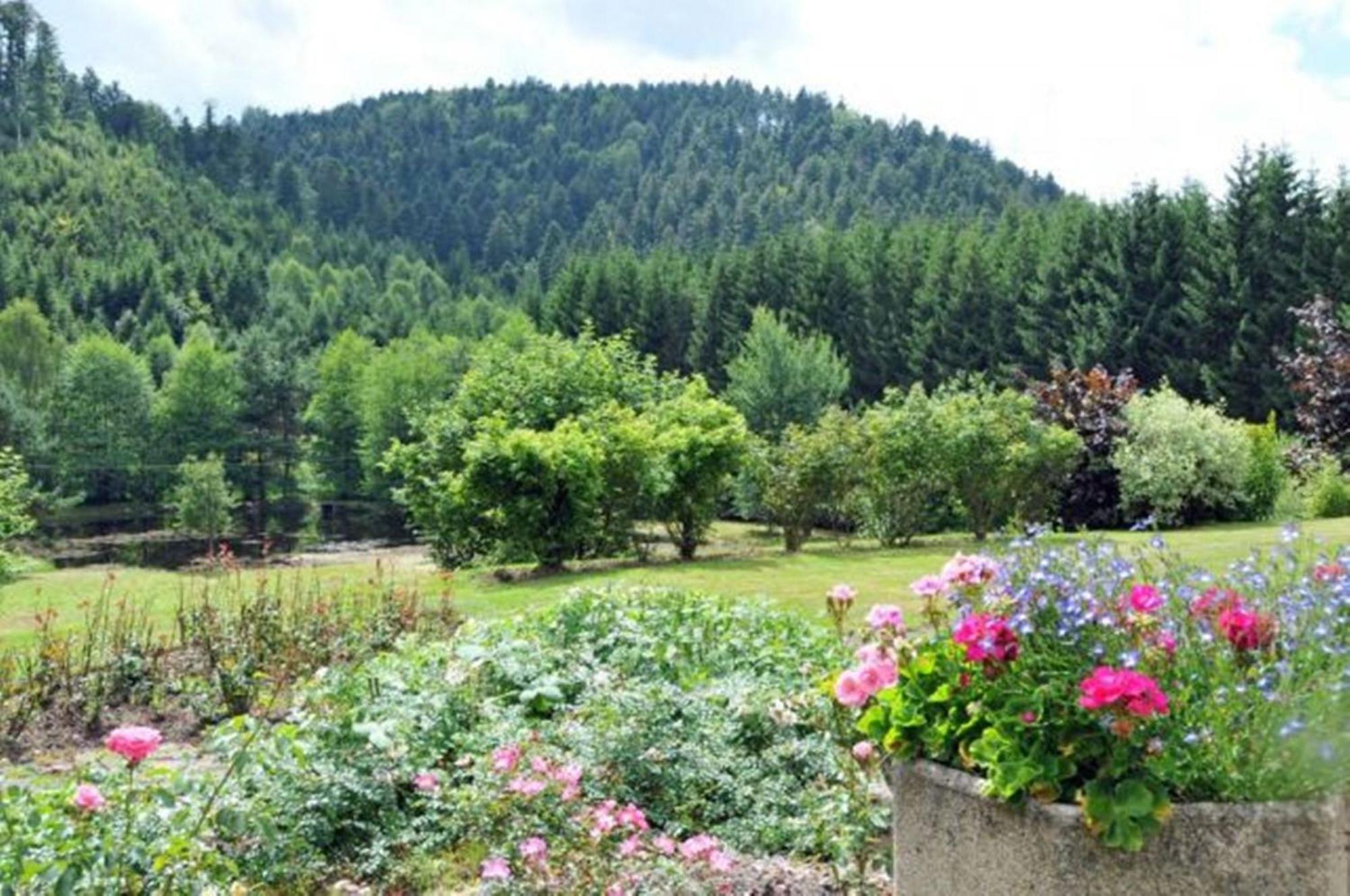 Auberge De La Cholotte Les Rouges-Eaux Esterno foto